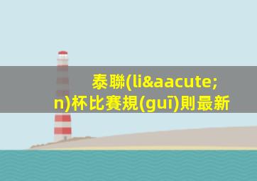 泰聯(lián)杯比賽規(guī)則最新