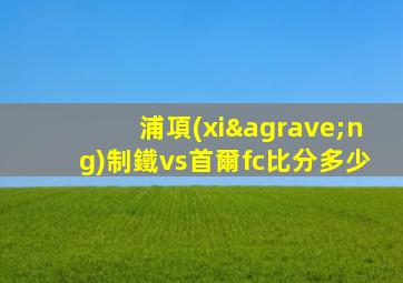 浦項(xiàng)制鐵vs首爾fc比分多少
