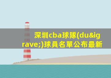 深圳cba球隊(duì)球員名單公布最新