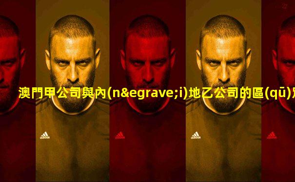 澳門甲公司與內(nèi)地乙公司的區(qū)別