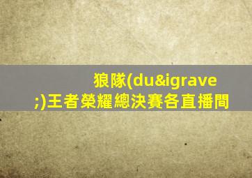 狼隊(duì)王者榮耀總決賽各直播間