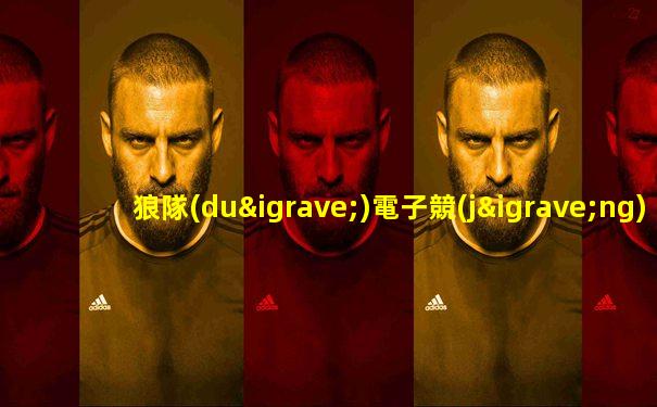狼隊(duì)電子競(jìng)技俱樂部運(yùn)營(yíng)公司