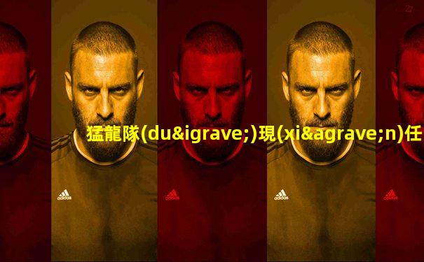猛龍隊(duì)現(xiàn)任主教練