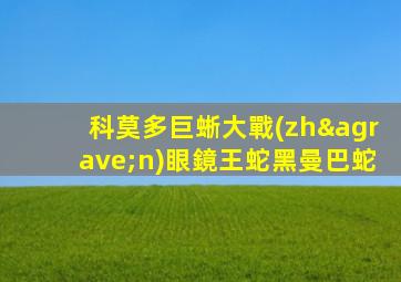 科莫多巨蜥大戰(zhàn)眼鏡王蛇黑曼巴蛇