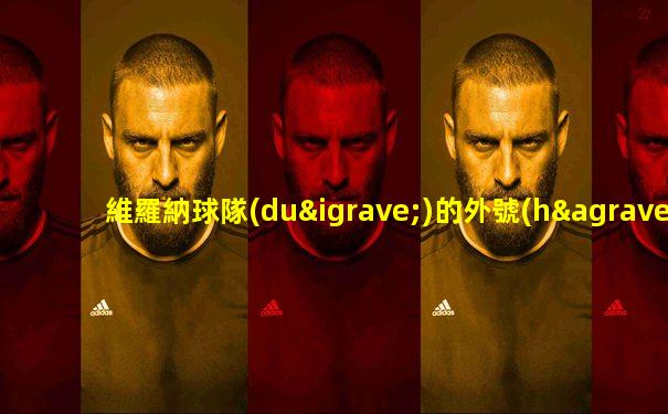 維羅納球隊(duì)的外號(hào)