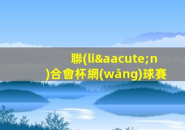 聯(lián)合會杯網(wǎng)球賽
