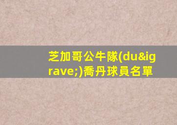芝加哥公牛隊(duì)喬丹球員名單