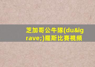 芝加哥公牛隊(duì)羅斯比賽視頻