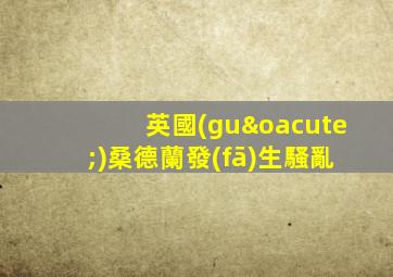 英國(guó)桑德蘭發(fā)生騷亂