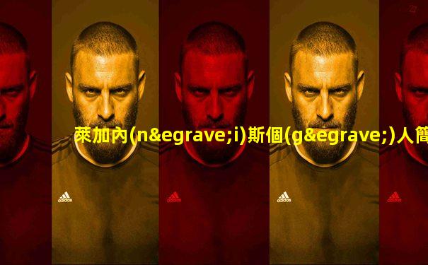 萊加內(nèi)斯個(gè)人簡歷