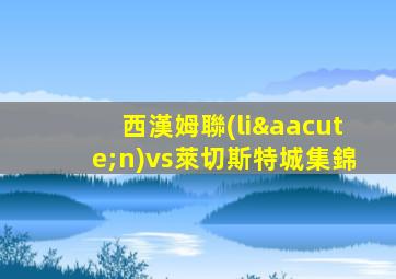 西漢姆聯(lián)vs萊切斯特城集錦