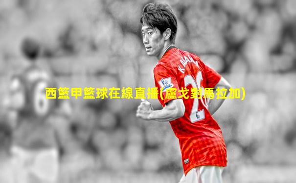 西籃甲籃球在線直播(盧戈對馬拉加)