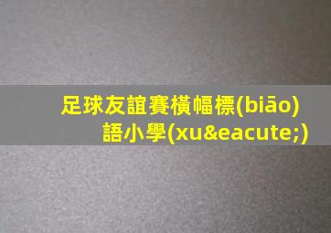 足球友誼賽橫幅標(biāo)語小學(xué)