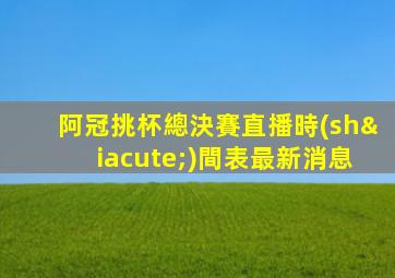 阿冠挑杯總決賽直播時(shí)間表最新消息