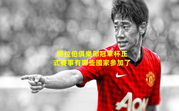 阿拉伯俱樂部冠軍杯正式賽事有哪些國家參加了