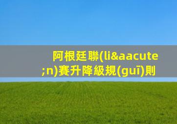 阿根廷聯(lián)賽升降級規(guī)則