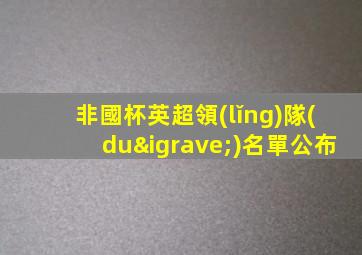 非國杯英超領(lǐng)隊(duì)名單公布