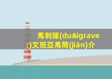 馬刺隊(duì)文班亞馬簡(jiǎn)介