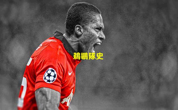 鵜鶘隊史